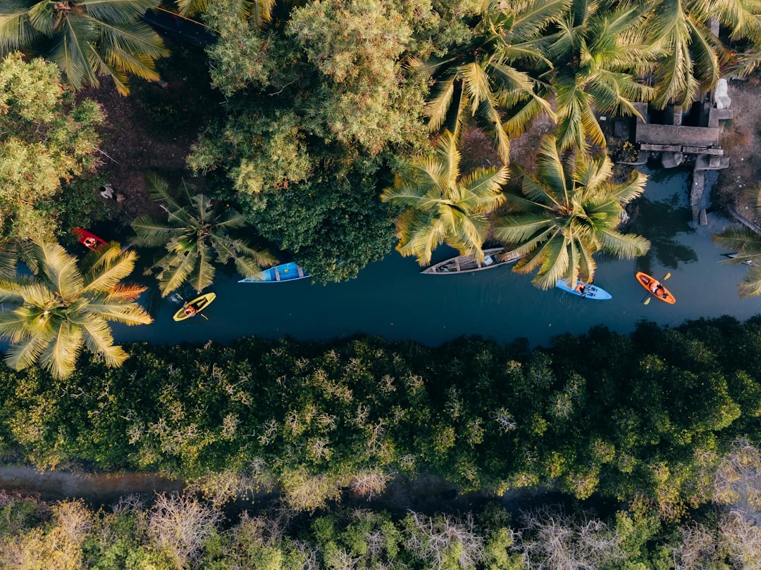 Virtual Drive-Bys with Google Earth: Revolutionizing Tax Sale Property Research in Canada