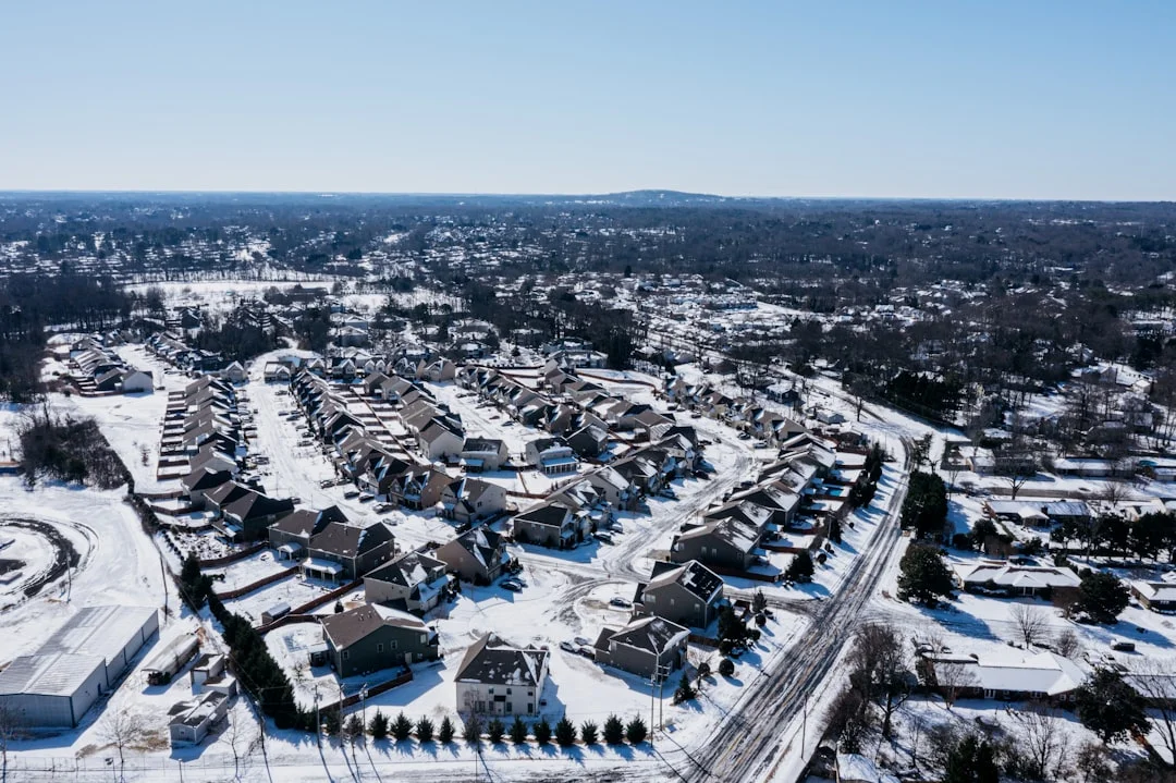 The Snowball Effect: How Reinvesting Tax Sale Profits in 2025 Can Maximize Returns