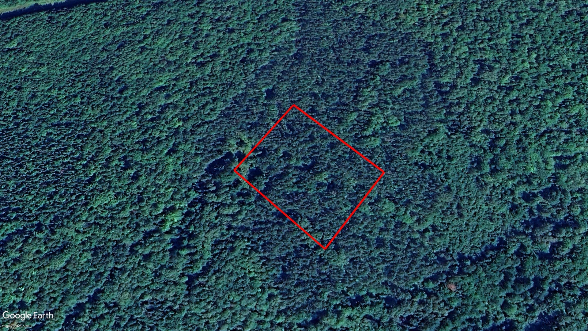 McLean Settlement Backroad, Champdoré