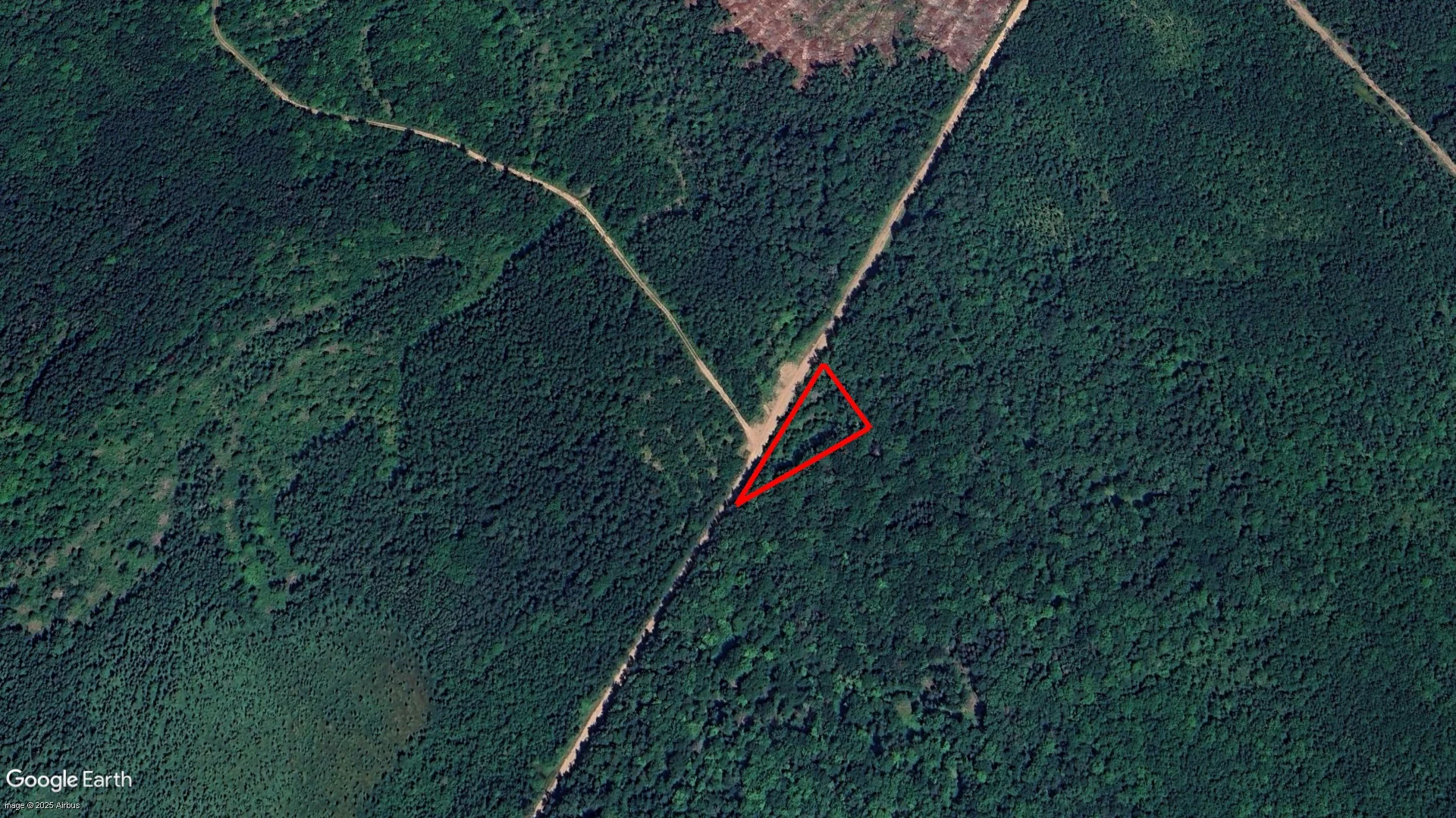 Douglas Road, Champdoré