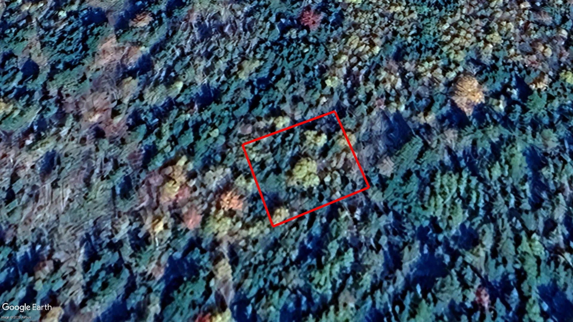 Upper Musquodoboit - Land