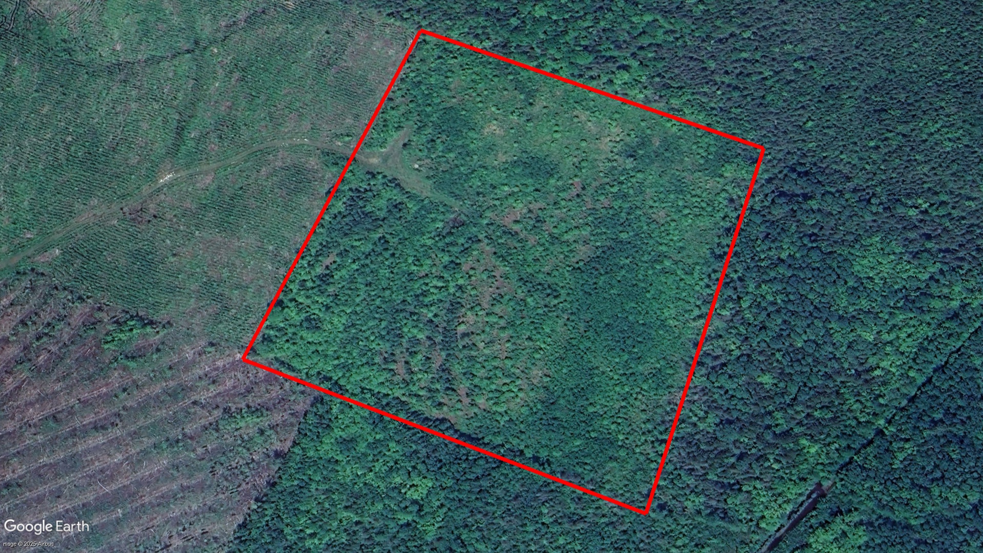 Route 8, Upper Miramichi